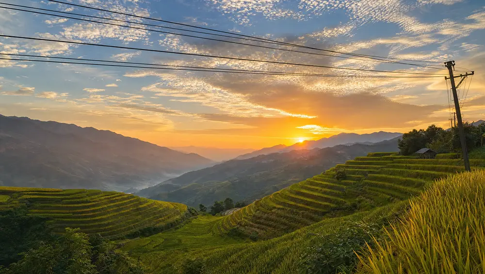 Ảnh gốc còn dây điện (ví dụ minh họa)